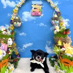 かりんちゃん　炭酸泉入浴