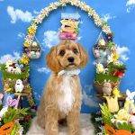 初めてご来店　ビスくん　PV動画あり