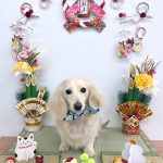 カニンヘンダックス　くうちゃん　泥パック