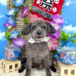 ライトくん