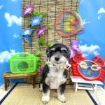 あんちゃん　泥パック