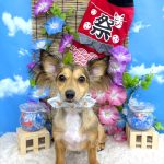 初めてご来店　チワックス　のんくん　PV動画あり