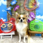 陽（はる）くん