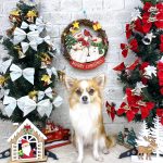 陽（はる）くん