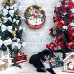 狆ｘチワワ　りーりーちゃん