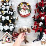 トイプードル　みこちゃん