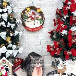 ねこ　アメリカンショートヘアー　モナちゃん