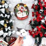 ねこ　ミヌエット　アムーくん