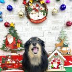 ダックスフンド　ダックスちゃん