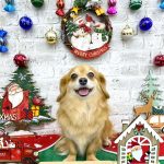 チワックス　リルくん