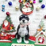 あんちゃん　泥パック