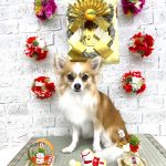 陽（はる）くん