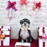 あんちゃん　泥パック