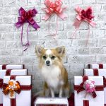 陽（はる）くん