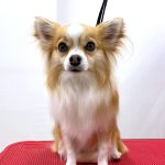 陽（はる）くん