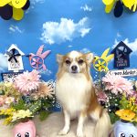 陽（はる）くん