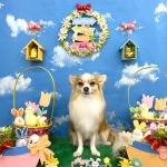 陽（はる）くん