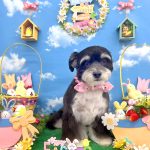 あんちゃん　泥パック