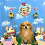 チワックス　リルくん