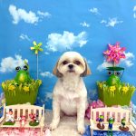 ありすちゃん