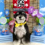 あんちゃん　泥パック