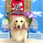 カニンヘンダックス　くうちゃん　シルクパック
